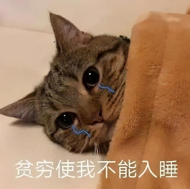 送男朋友什么礼物最难忘,送男朋友什么礼物最有意义
