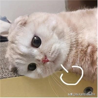 第一次送异地恋女朋友礼物好,送女朋友什么生日礼物有创意