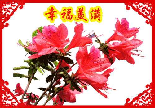 情人节送什么礼物今日情人节，太漂亮了，发到群里，朋友们会爱死你的