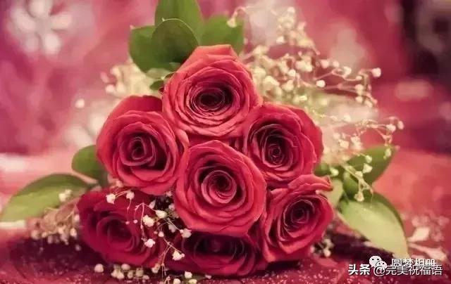 情人节送什么今天情人节，送给天下有情人，谁打开，谁幸福