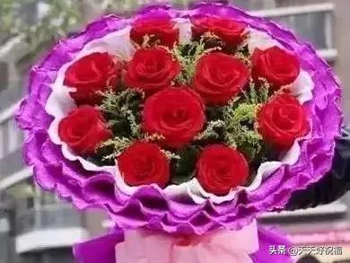 情人节送玫瑰花图片今日七夕情人节，999朵玫瑰送给所有的朋友！祝你节日快乐
