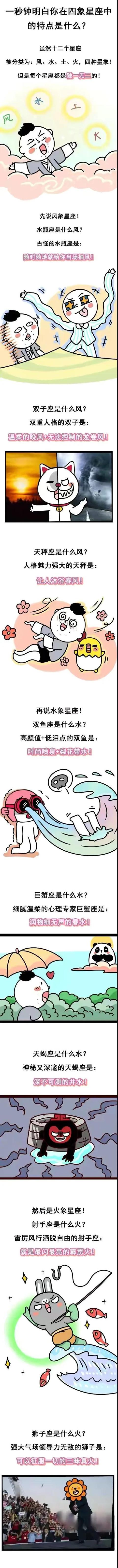 四象星座(四象星座相生相克)插图