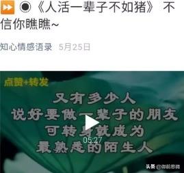 情感咨询的赚钱项目，通过短视频引流收获不小
