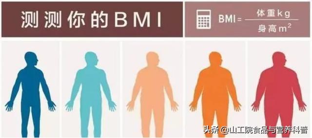 膳食宝塔食物模型图片（平衡膳食宝塔五层结构）