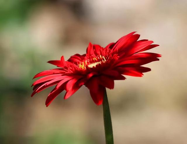 发朋友圈，要记得：屏蔽一些“重要”的人