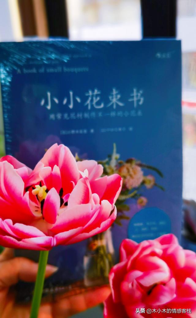 用10根棒棒糖制作花束 棒棒糖花束的寓意66颗