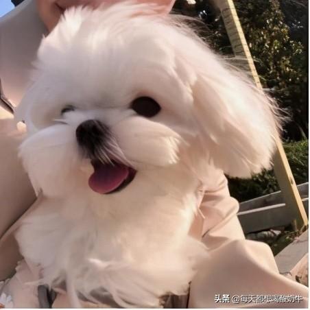 送女生什么礼物可以让她开心很久？ 送什么礼物给女朋友