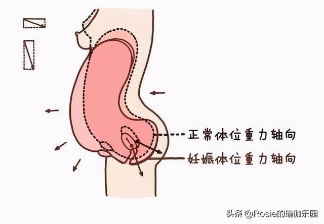 吉娜生子朱丹二胎，如何做好產後修復？注意這3點輕松做辣媽 健身減肥達人 第22张