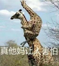 这个见不到的情人节，下面这些礼物送女友再好不过了 送女朋友什么礼物