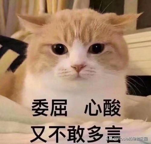 看腰90斤，看腿120斤？梨形身材如何瘦腿翹臀不靠遮？ 健身減肥達人 第3张