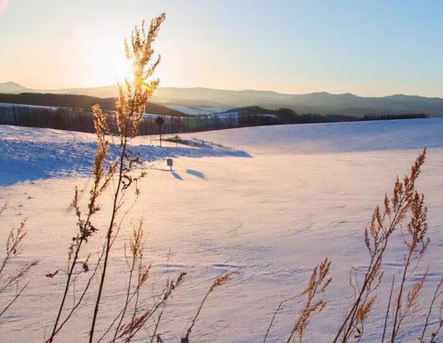 发朋友圈，要记得：屏蔽一些“重要”的人