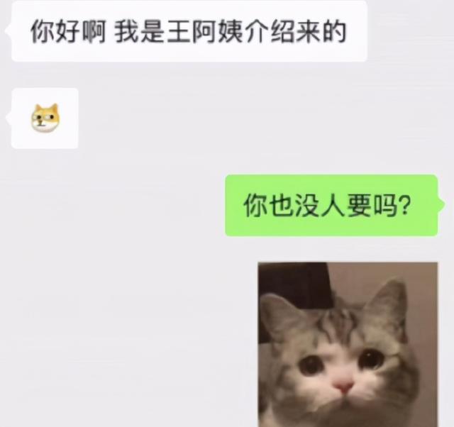 笑死我了，不小心被拉進這個群，接下來該說點什麼 搞笑整蠱 第1张