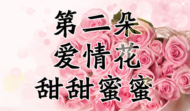 七夕送女朋友什么礼物好最有意义中国情人节，送你七朵花，愿你好运连连、幸