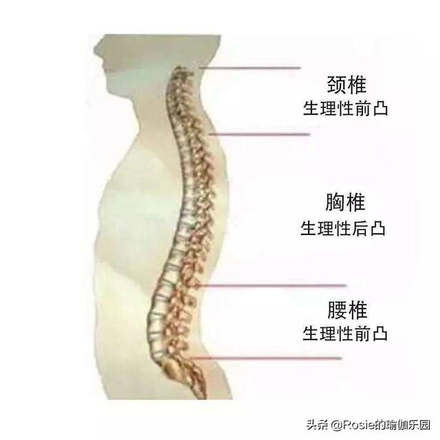 秦嵐長腿細腰身材火辣，每天堅持3個動作，坐著躺著瘦腿縮腰 健身減肥達人 第5张
