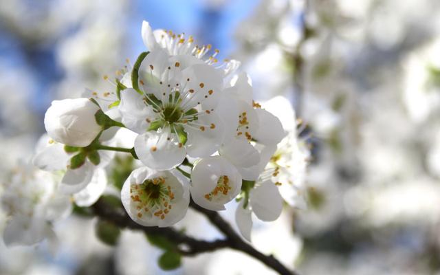 星座 配对 4月20日是什么星座插图2