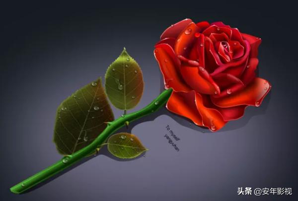 情人节送男友什么礼物或许这是最适合用作情人节送礼物