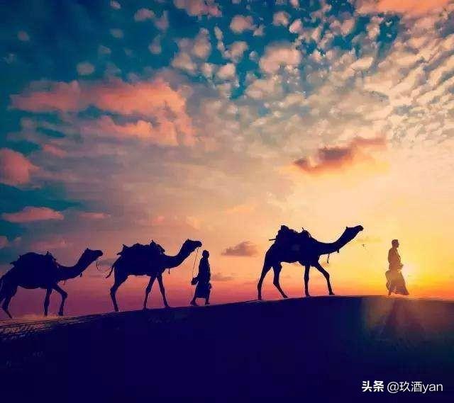 一个人喝酒的图片真实 真实送礼物酒图片