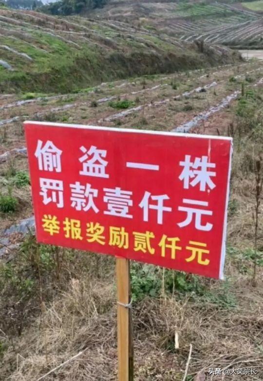哈哈哈男朋友520送了一对塑料水晶鞋，怎么才能委婉告诉他不喜欢 送女朋友什