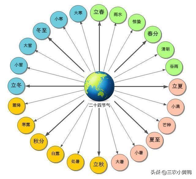 2021年运势最差的生肖(生肖羊2021年辛丑年运势)插图1