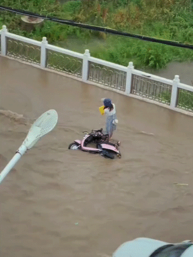这两天点赞最高的视频，都是从河南发出的