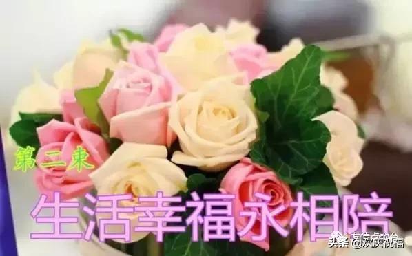 情人节该送男友什么今天是情人节！最美的祝福送给天下有情人