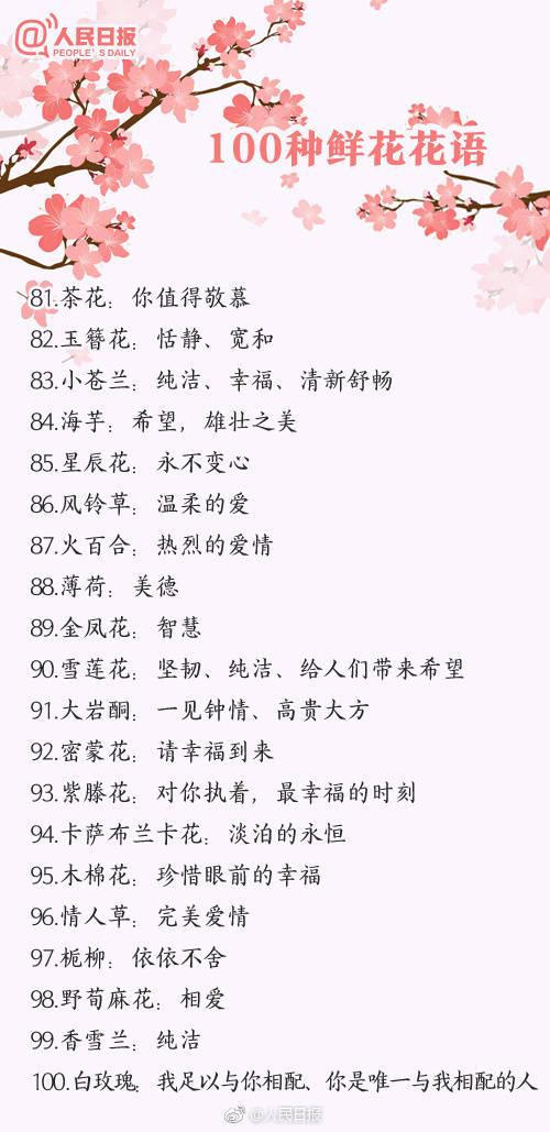 情人节该送什么礼物100种鲜花的花语，情人节送花就用它，转发买花收花都用得