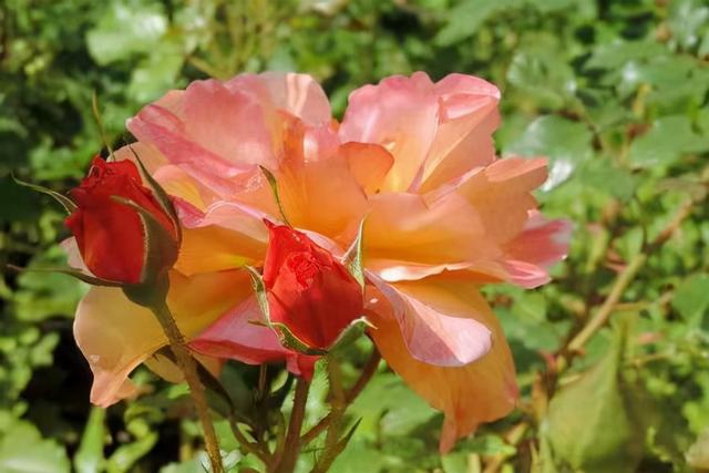 发朋友圈，要记得：屏蔽一些“重要”的人