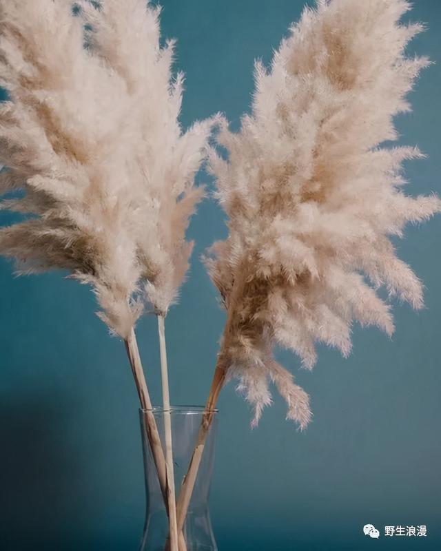 第一次去你对象家拿什么礼物？重要吗？ 七夕送女朋友礼物排行榜
