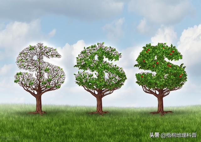 世界耕地面积排名前十的国家（全球耕地面积排行榜）