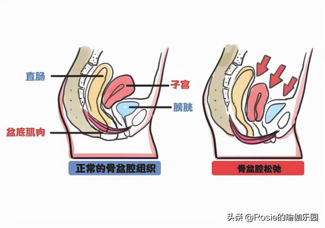 40歲生二胎帶三娃，謝娜承受得遠比你想像的更多 娛樂八卦吃瓜 第12张