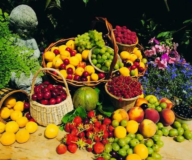 Check in these unpopular niche fruits, the lowkey deliciousness can no