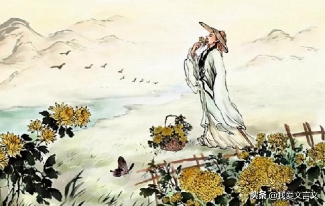 爱莲说作者是谁（北宋·周敦颐《爱莲说》赏析）