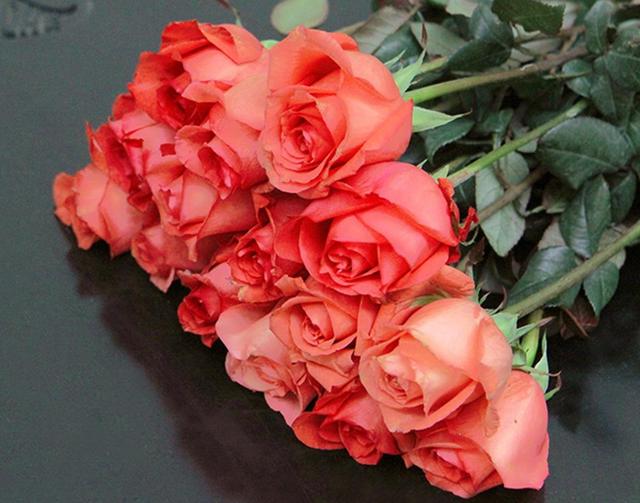情人节送媳妇什么礼物象征爱情和美丽的玫瑰