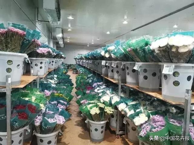 今年情人节送什么好谁说情人节没有鲜花？请签收我为您种下的这片花海