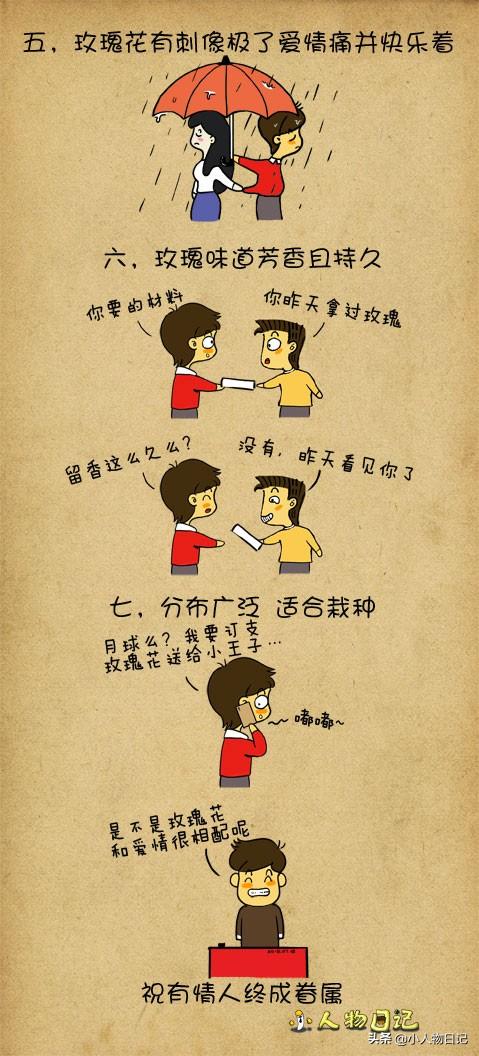 情人节送男友什么礼物世上的漂亮花儿这么多，为什么偏偏玫瑰花代表爱情？