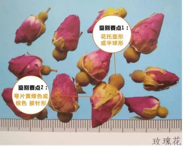 今年情人节送什么好「本草驿站」情人节的花，你送对了吗？