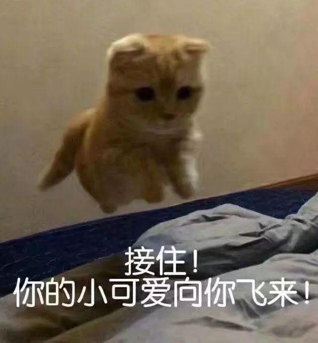 聊五毛钱的天是啥意思 聊几毛钱的