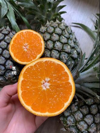 辰一梦物语种植园如何?