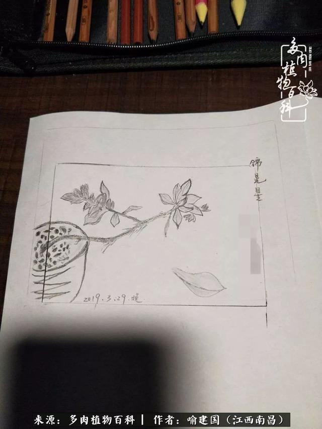 梦见别人送鞋 梦见很多坟墓插图29