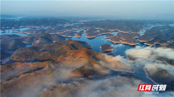 十二星座配对 3月15日是什么星座插图