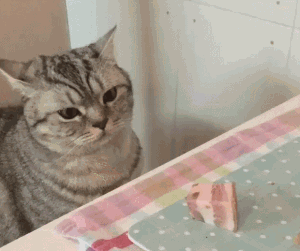 猪心为什么不能多吃（猪不能吃的部位图片）