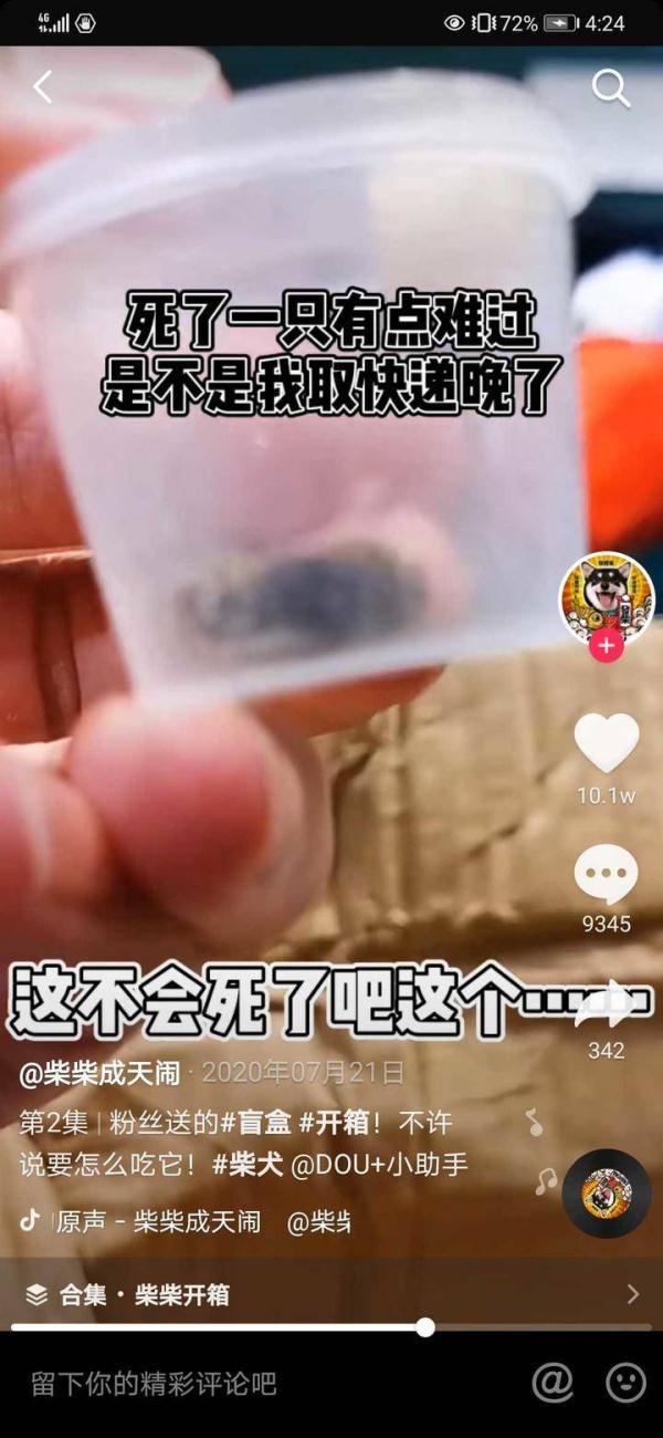 最低几块钱，“宠物盲盒”电商平台仍在卖