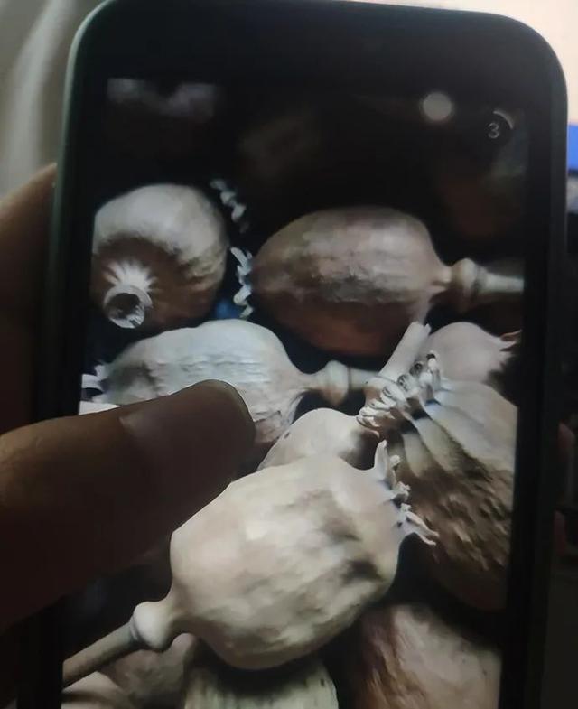 央视曝光！这种毒物流向餐桌