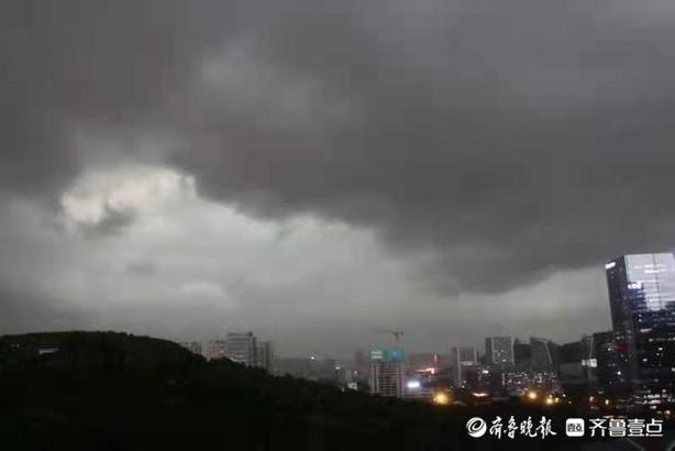 理直气壮的动物是什么生肖 胆小过街是什么生肖num