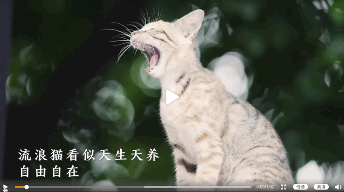 虚拟数字人取代流量明星？本期重点关注Bose、AYAYI｜营销看点Vol.2