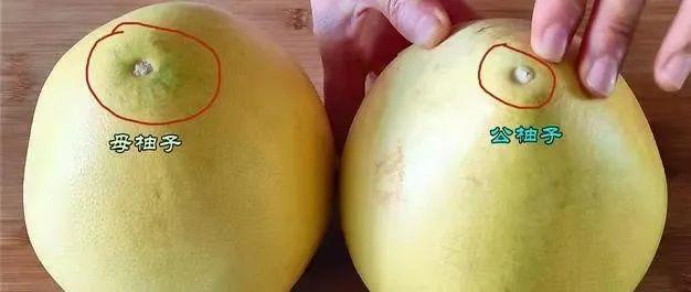 蜂蜜柚子茶