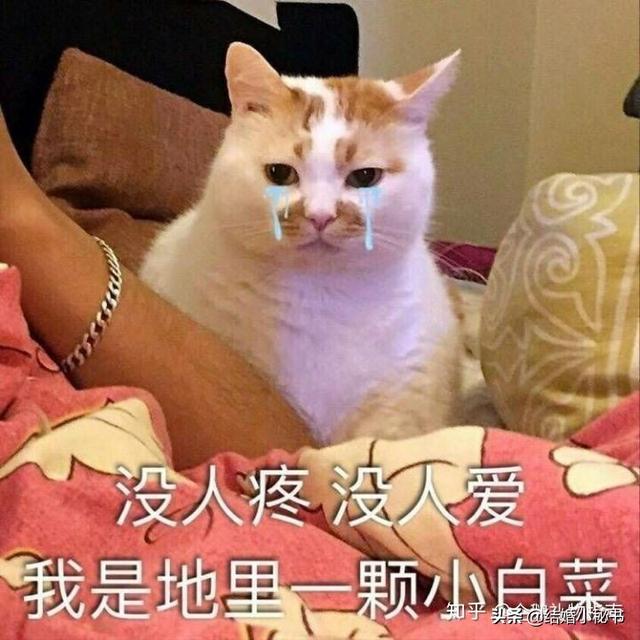 100元买什么礼物好,200元的礼物选什么