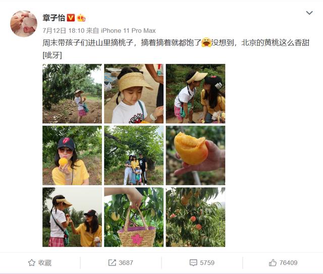 為上熱搜拼了？汪峰開三輪車失控栽溝里，章子怡表情暴露夫妻感情 娛樂八卦吃瓜 第1张