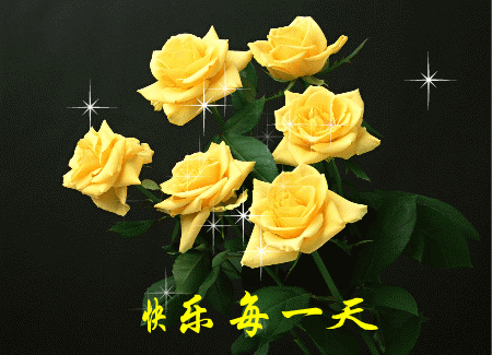 七夕送什么明天2.14日情人节，999玫瑰送给所有朋友，祝你们情人节快乐