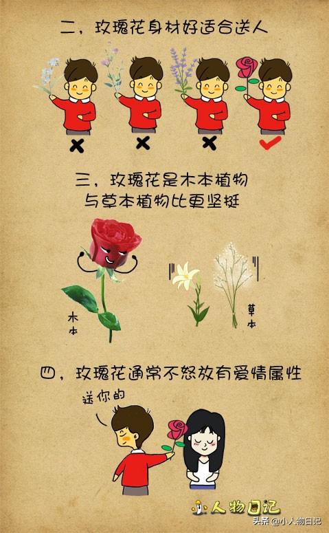 情人节送男友什么礼物世上的漂亮花儿这么多，为什么偏偏玫瑰花代表爱情？